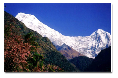 Annapurna View 