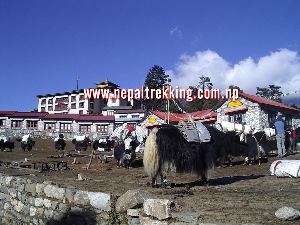Tangboche Monastery